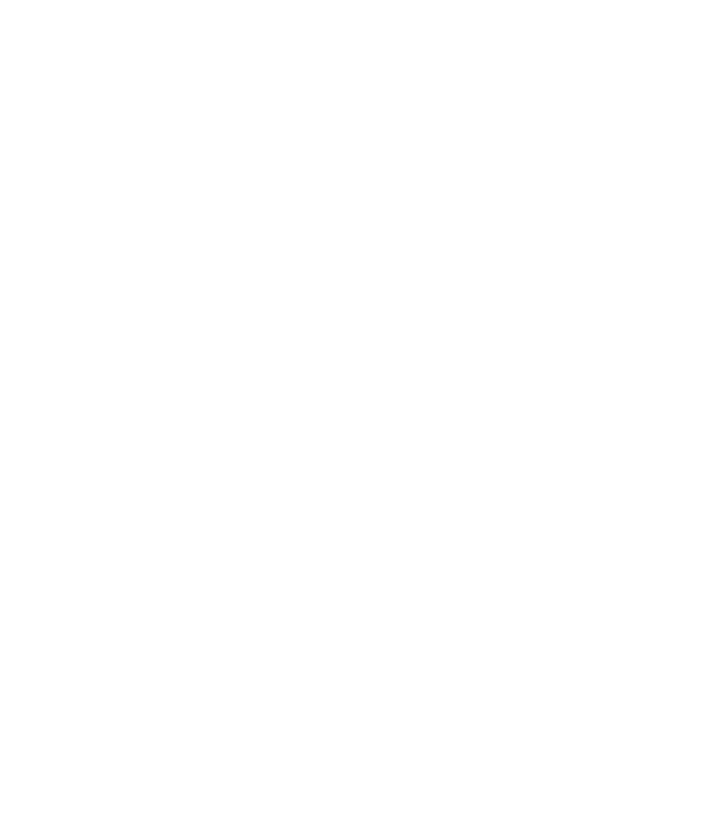 DirAgAlok